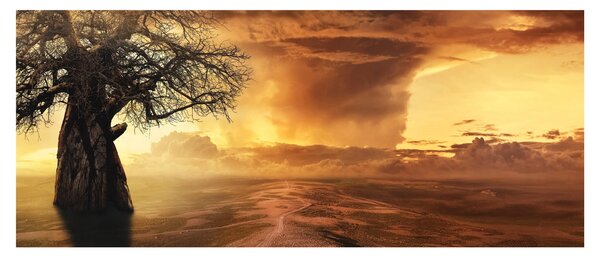 Tablou cu norii portocalii (120x50 cm)