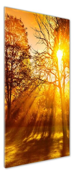 Fotografie imprimată pe sticlă Park din toamna