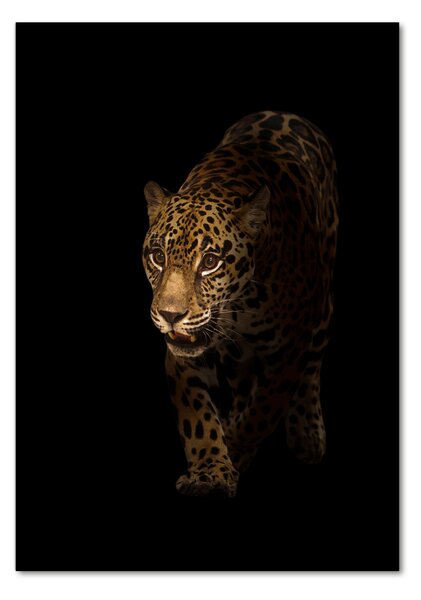 Imagine de sticlă Jaguar