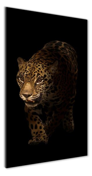 Imagine de sticlă Jaguar