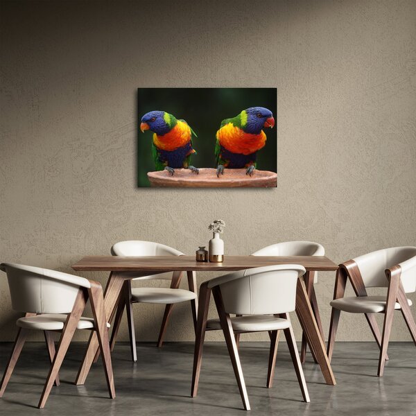 Tablou cu papagali (70x50 cm)