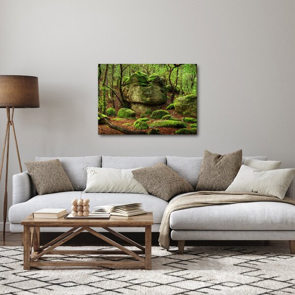 Tablou cu pădurea fermecată (70x50 cm)