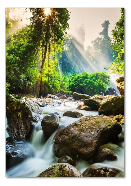 Imagine de sticlă Cascada din pădure