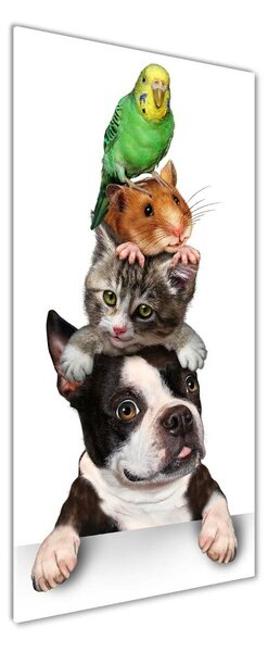 Tablou acrilic Animale de companie