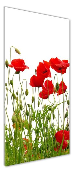 Fotografie imprimată pe sticlă wildflowers maci