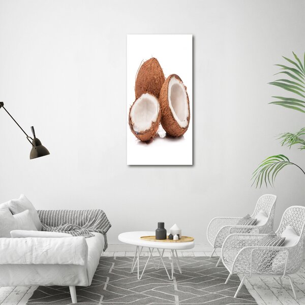 Print pe canvas nucă de cocos
