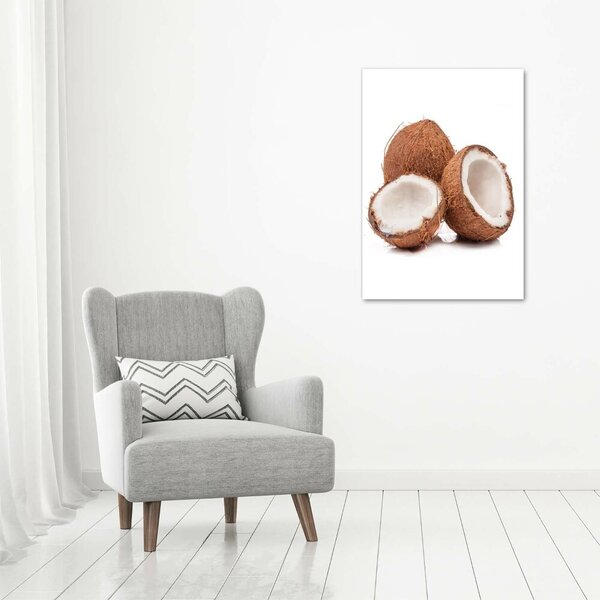 Print pe canvas nucă de cocos