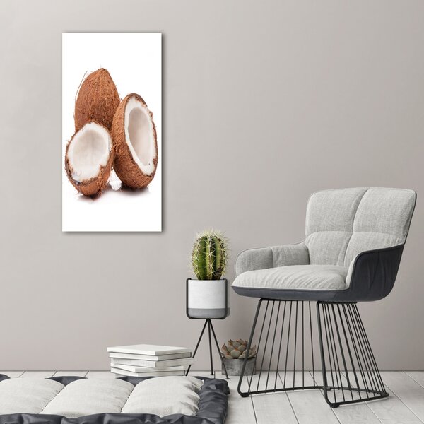Print pe canvas nucă de cocos