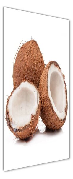 Tablou pe pe sticlă nucă de cocos