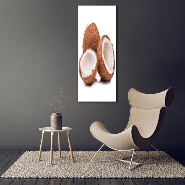 Print pe canvas nucă de cocos