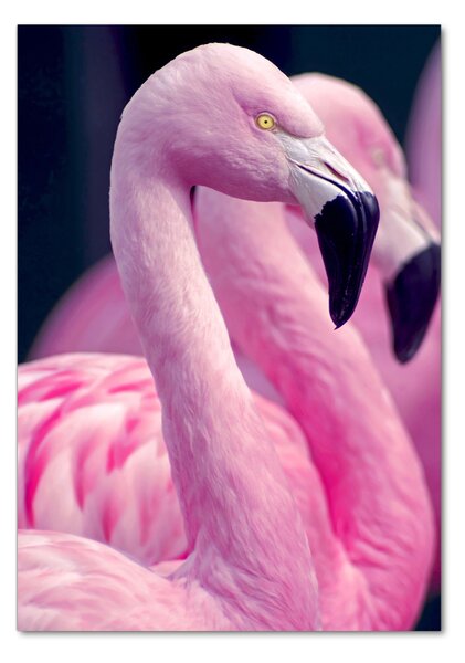 Imagine de sticlă Flamingos