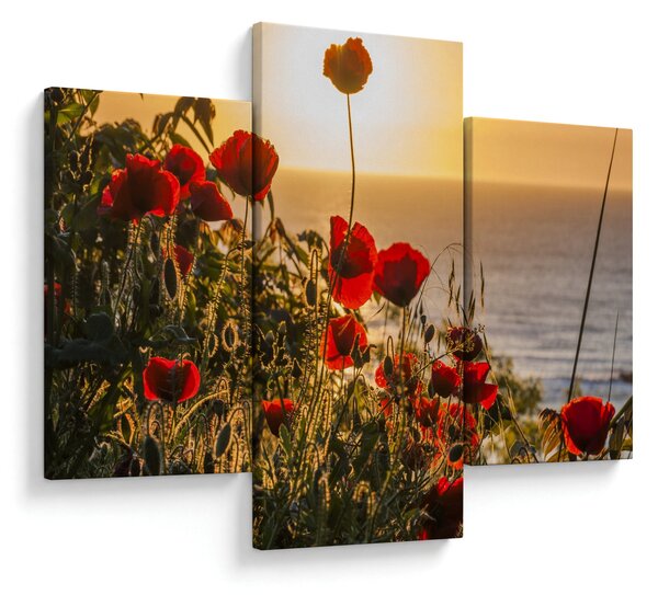Tablou cu apus de soare cu flori de maci (90x60 cm)
