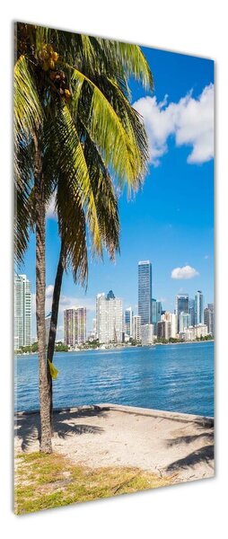 Imagine de sticlă Miami