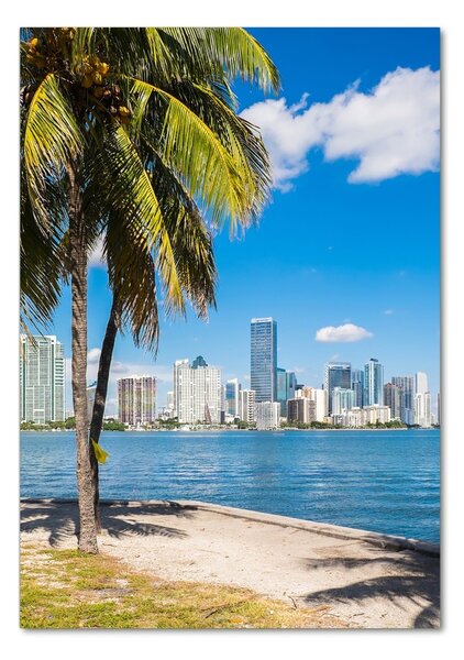 Imagine de sticlă Miami