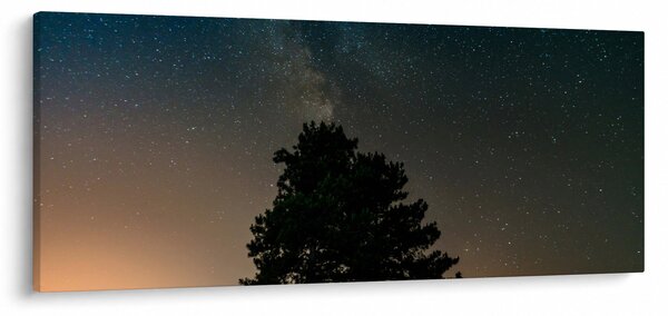 Tablou cu cerul nocturn și copaci (120x50 cm)