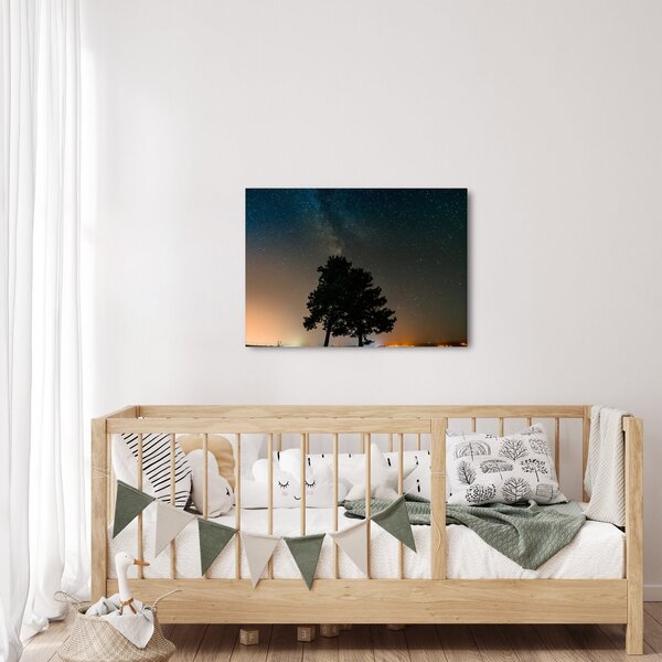 Tablou cu cerul nocturn și copaci (70x50 cm)