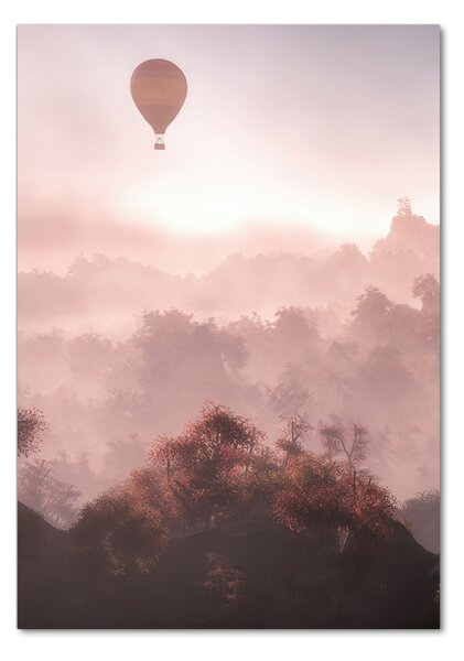 Fotografie imprimată pe sticlă Flying pădure balon