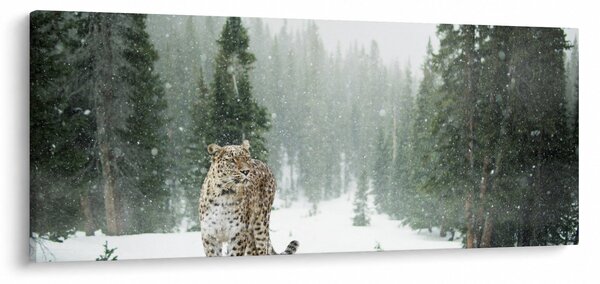 Tablou cu leopard în zăpadă (120x50 cm)