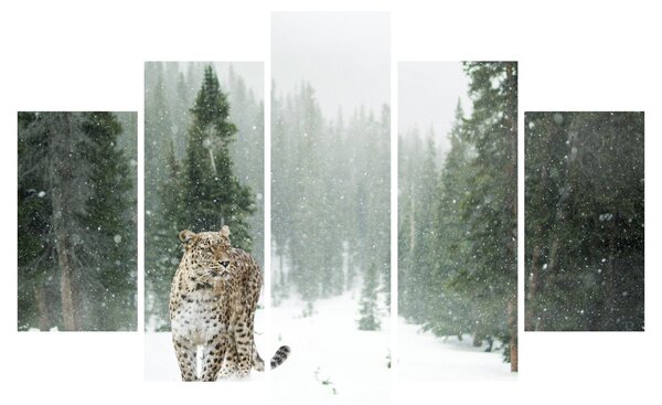Tablou cu leopard în zăpadă (150x105 cm)