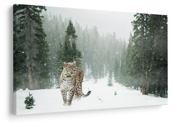 Tablou cu leopard în zăpadă (90x60 cm)
