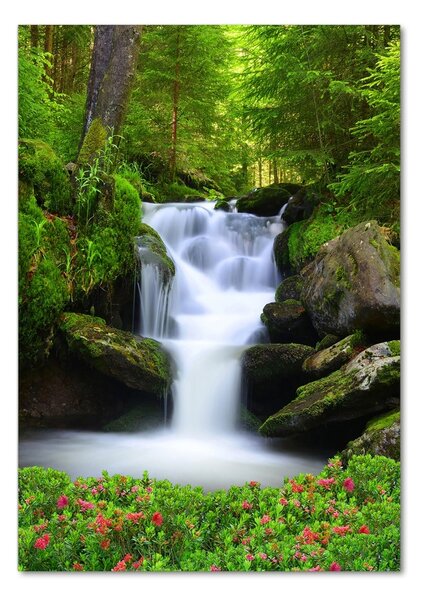 Fotografie imprimată pe sticlă Cascada din pădure
