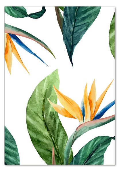 Tablou Printat Pe Sticlă Strelitzia reginae
