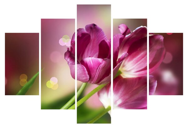 Tablou cu lalele roz (150x105 cm)