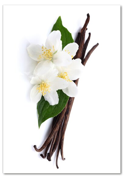 Imagine de sticlă Jasmine și vanilie