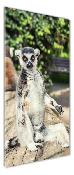 Fotografie imprimată pe sticlă Lemur