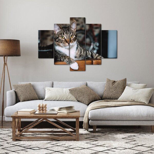 Tablou cu pisica (150x105 cm)