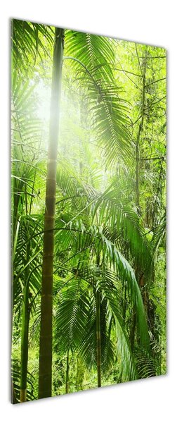 Tablou Printat Pe Sticlă pădurea tropicală