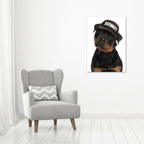 Tablou pe acril Rottweiler într-un capac