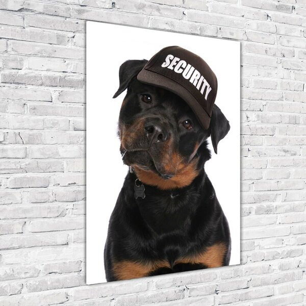 Tablou pe acril Rottweiler într-un capac