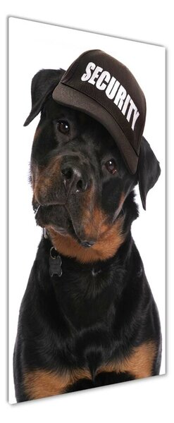 Tablou pe acril Rottweiler într-un capac