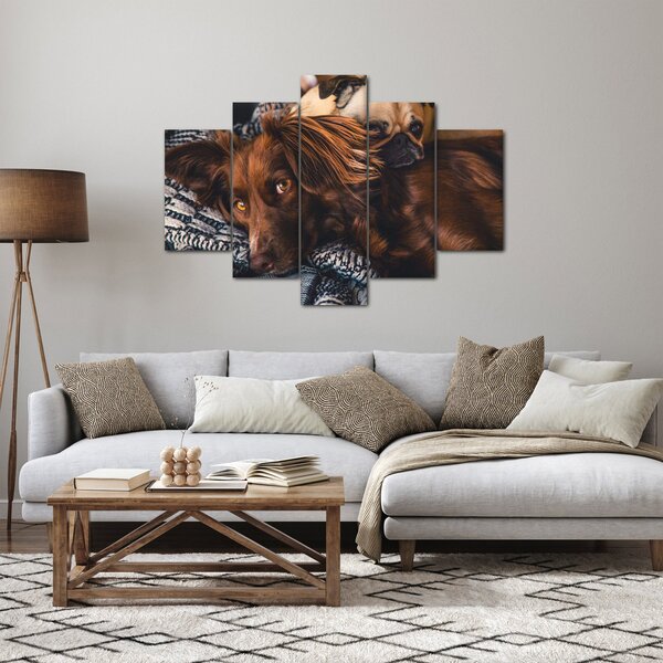 Tablou cu câini dormind (150x105 cm)