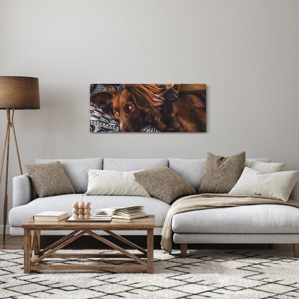 Tablou cu câini dormind (120x50 cm)