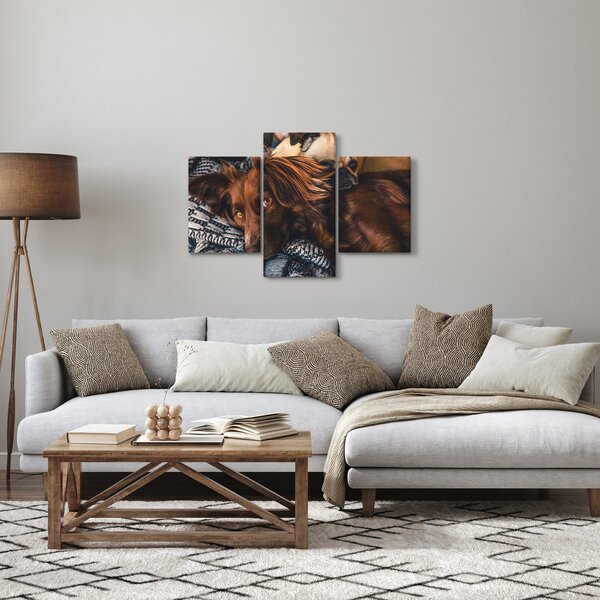Tablou cu câini dormind (90x60 cm)