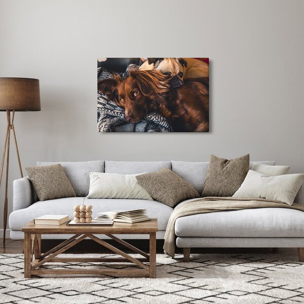 Tablou cu câini dormind (90x60 cm)