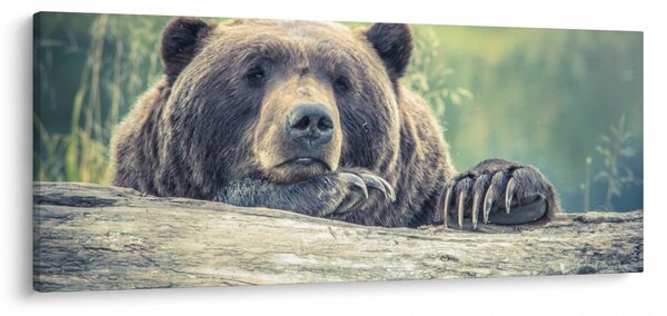 Tablou cu urs (120x50 cm)
