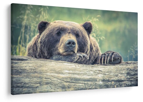 Tablou cu urs (90x60 cm)