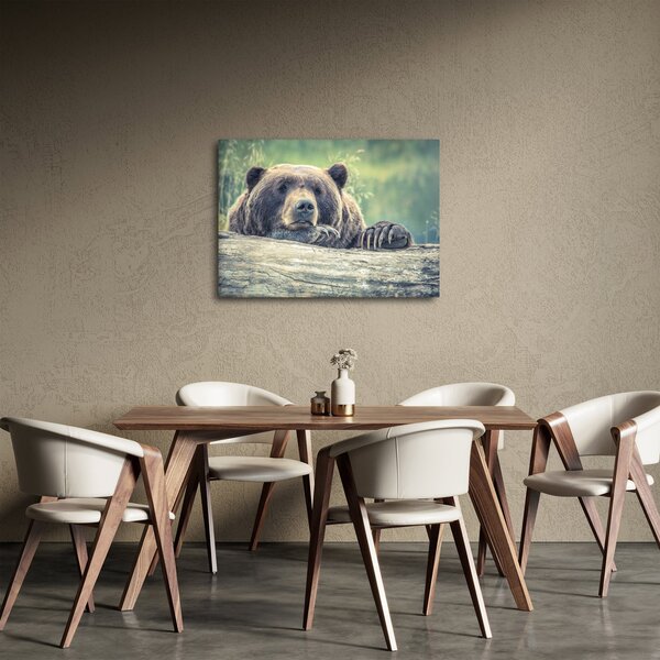 Tablou cu urs (70x50 cm)