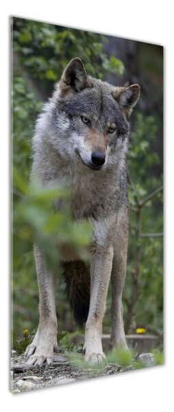 Tablou din Sticlă Wolf în pădure
