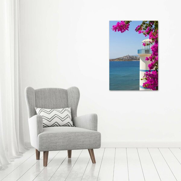 Tablou canvas Far