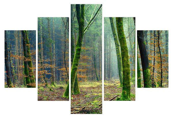Tablou cu pădure (150x105 cm)