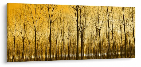 Tablou - Palntație cu pomi (120x50 cm)