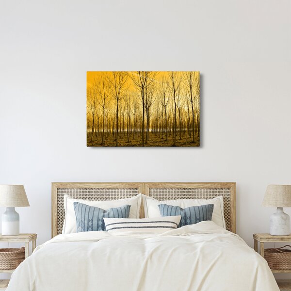 Tablou - Palntație cu pomi (90x60 cm)