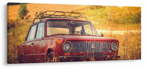 Tablou cu mașină în câmp (120x50 cm)