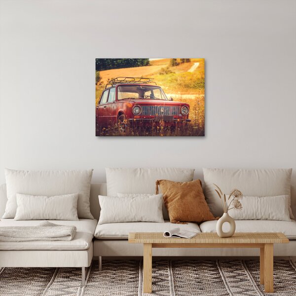 Tablou cu mașină în câmp (70x50 cm)