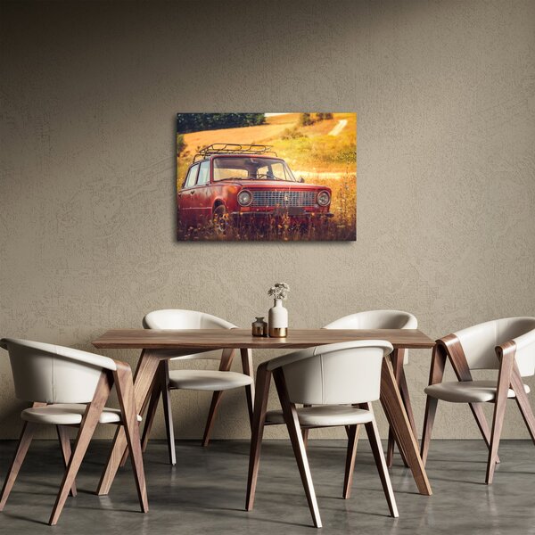 Tablou cu mașină în câmp (70x50 cm)