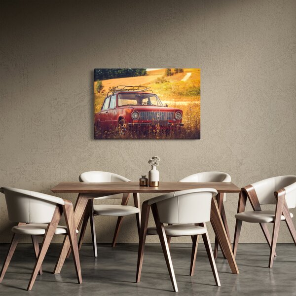 Tablou cu mașină în câmp (90x60 cm)